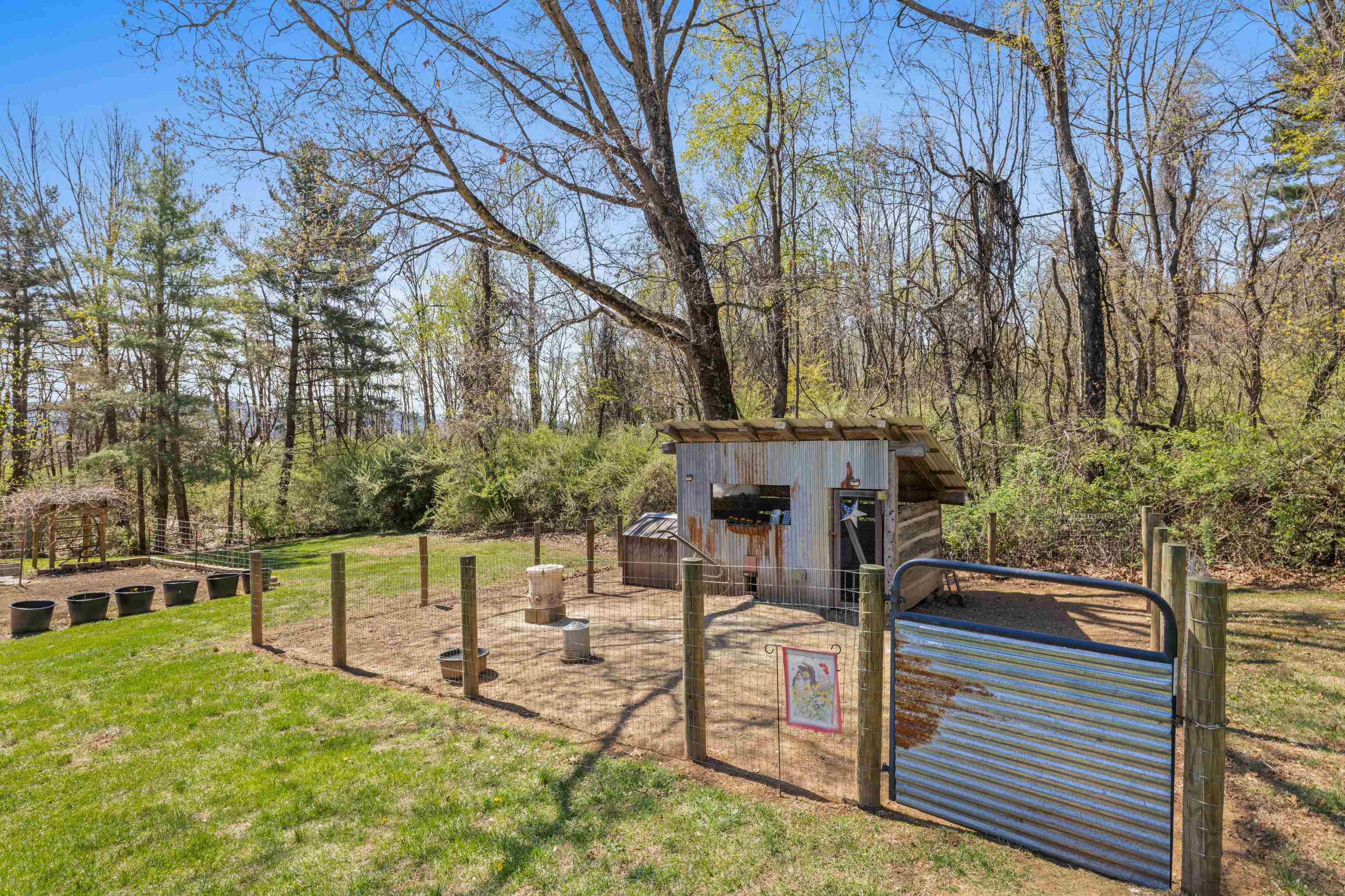 115 SPRING CROSSING LN