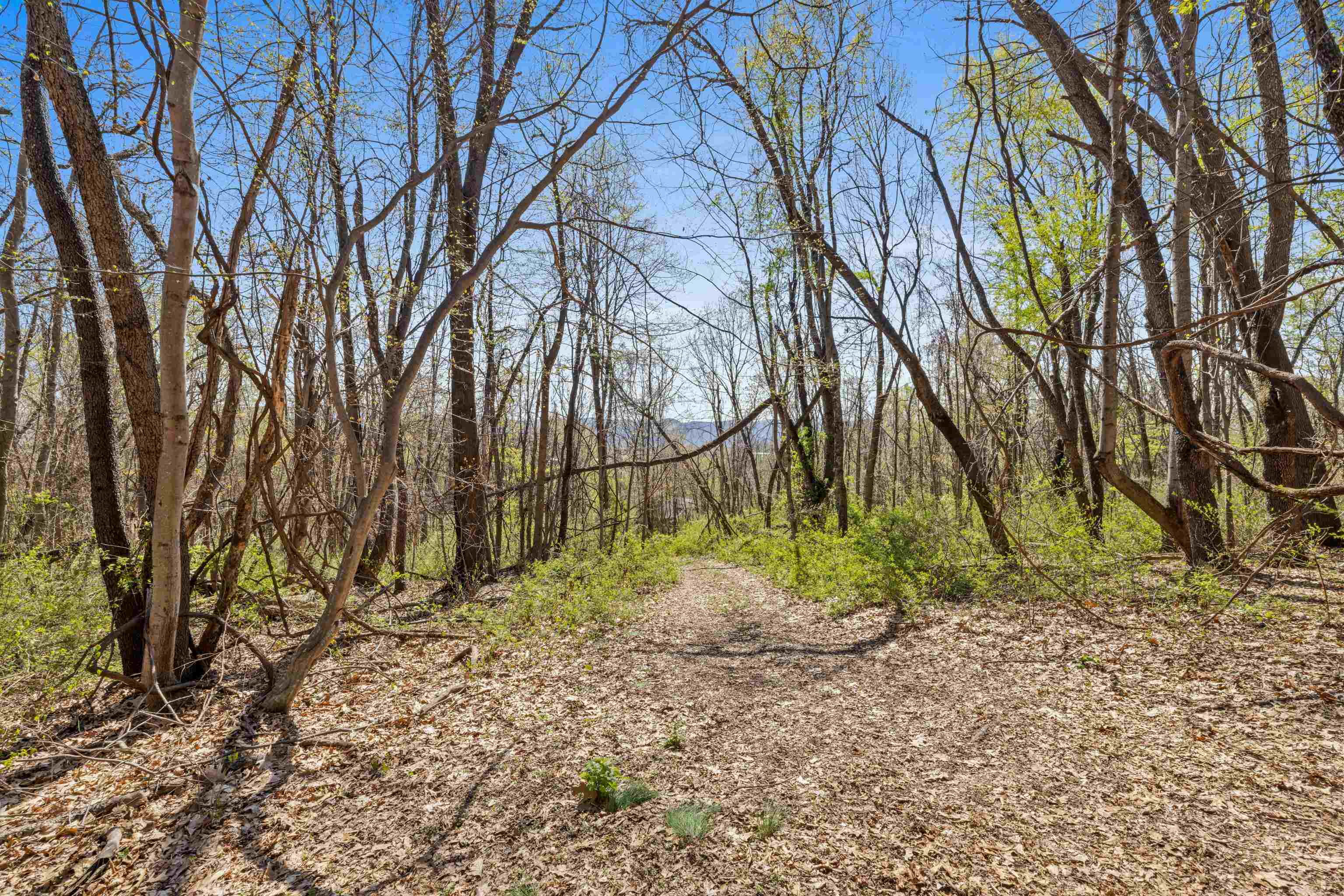 115 SPRING CROSSING LN