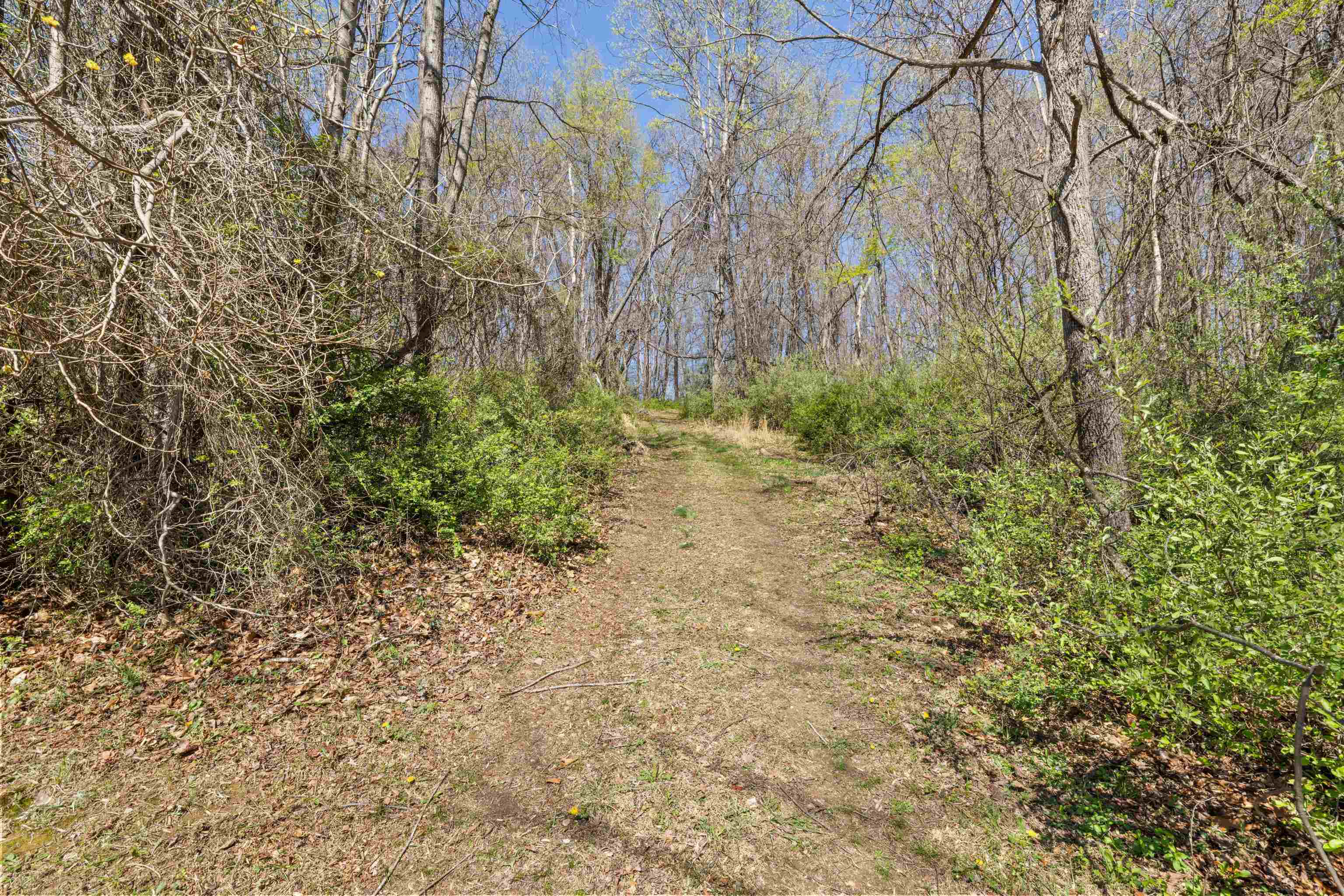 115 SPRING CROSSING LN