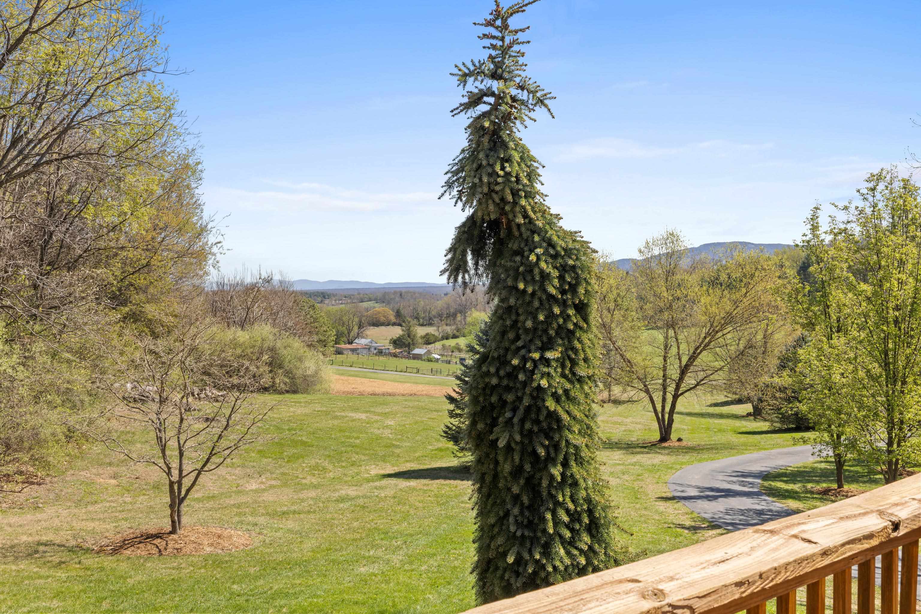 115 SPRING CROSSING LN