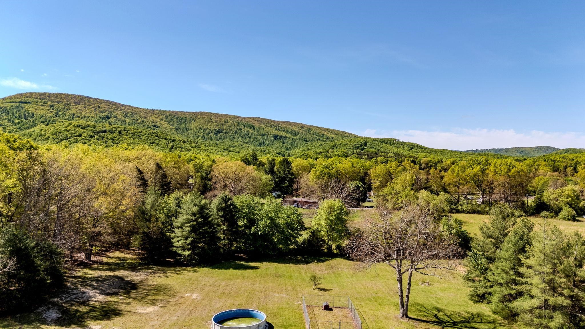 182 MIKES KNOB LN