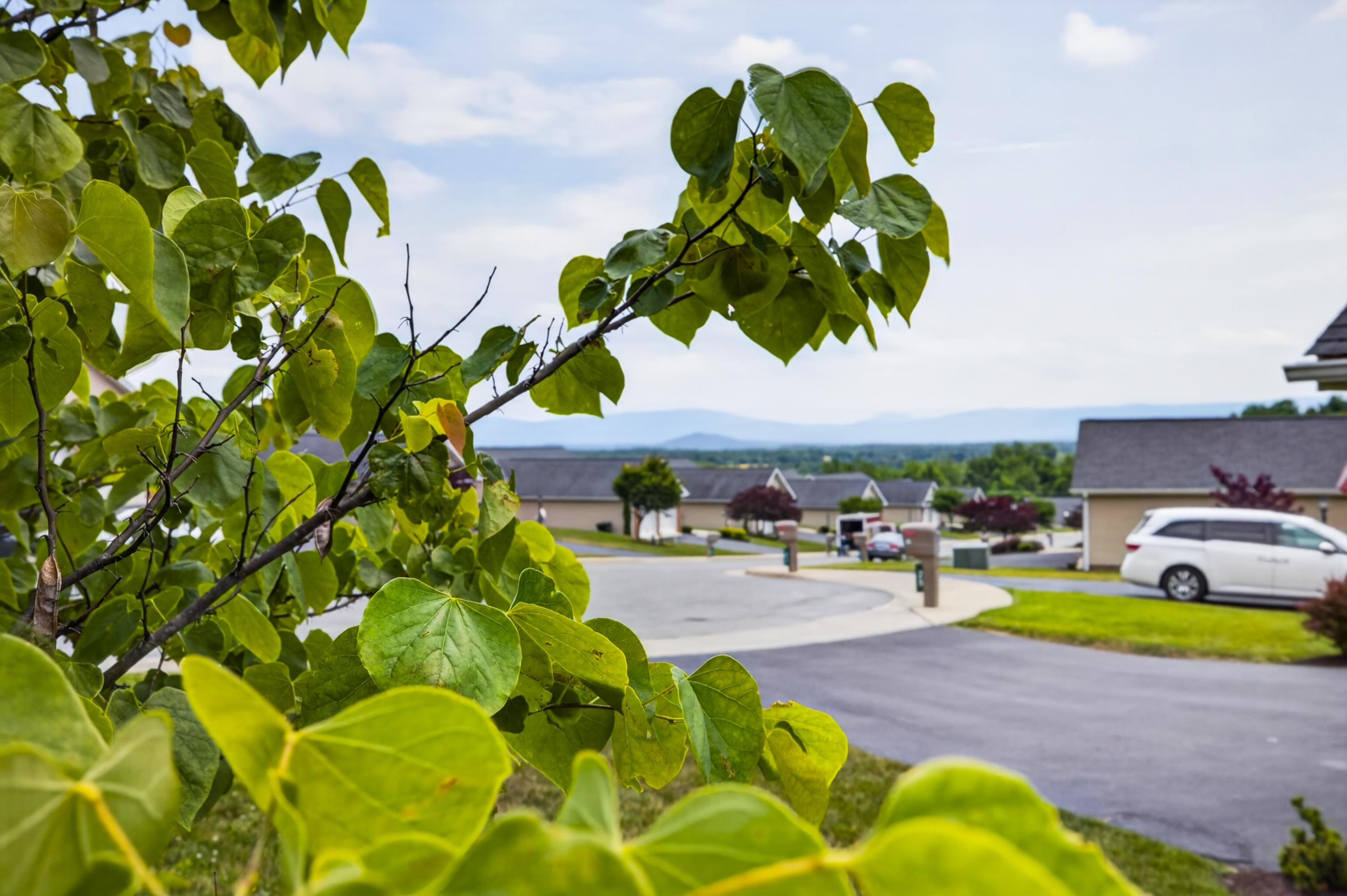 26 OAK VIEW DR