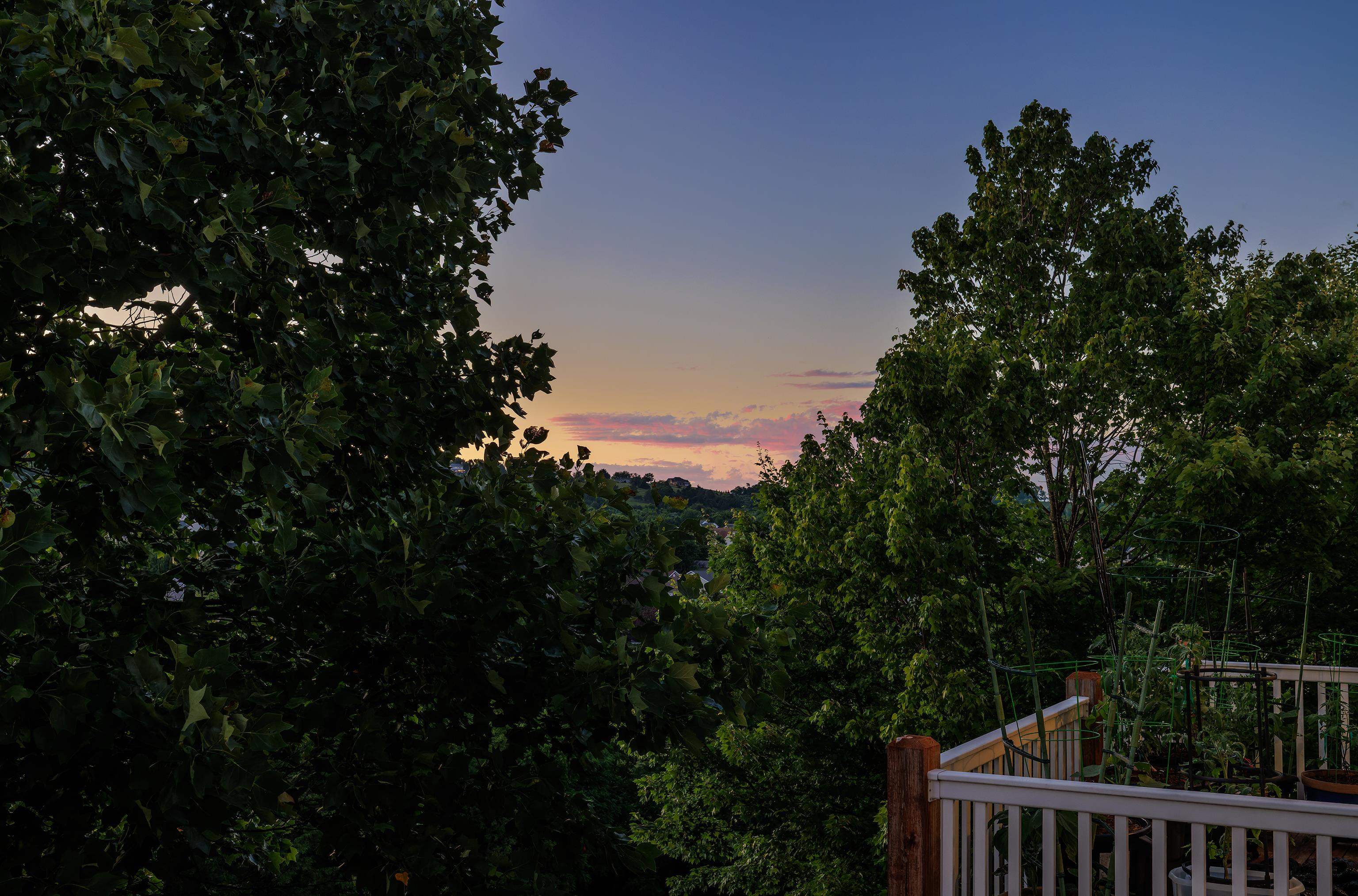 50 ENCHANTED VIEW CIR