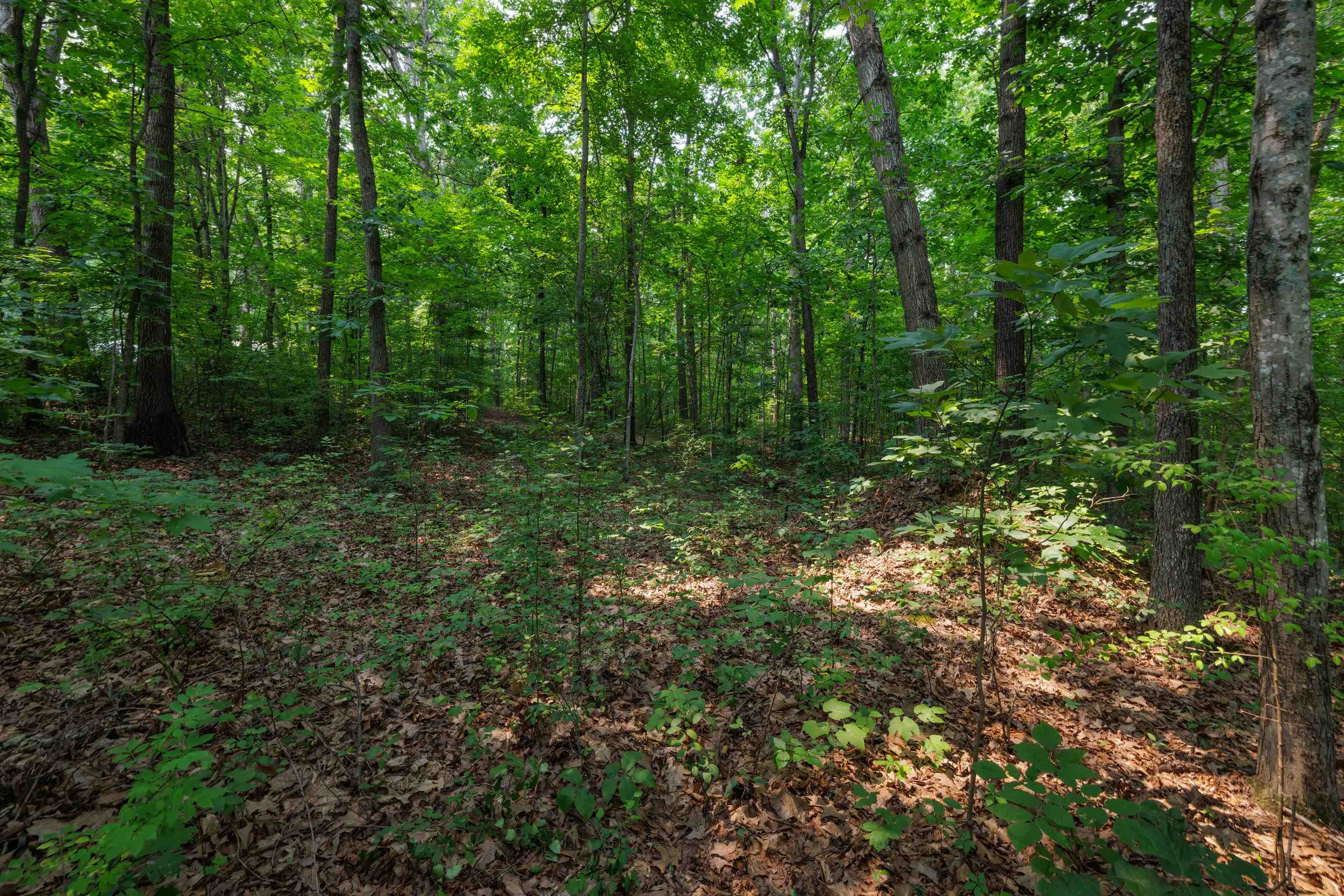 TBD BROADHEAD SCHOOL RD