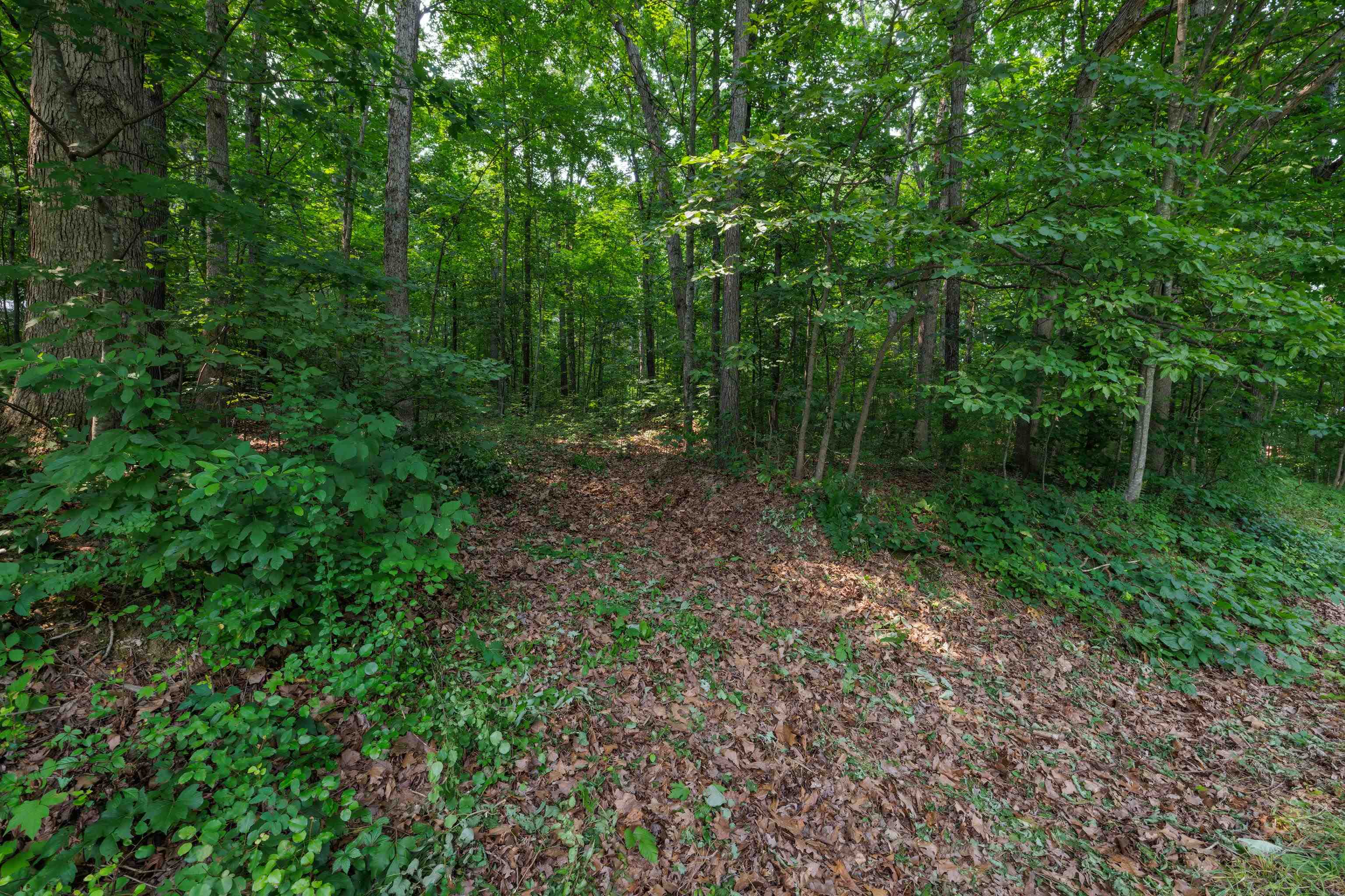 TBD BROADHEAD SCHOOL RD
