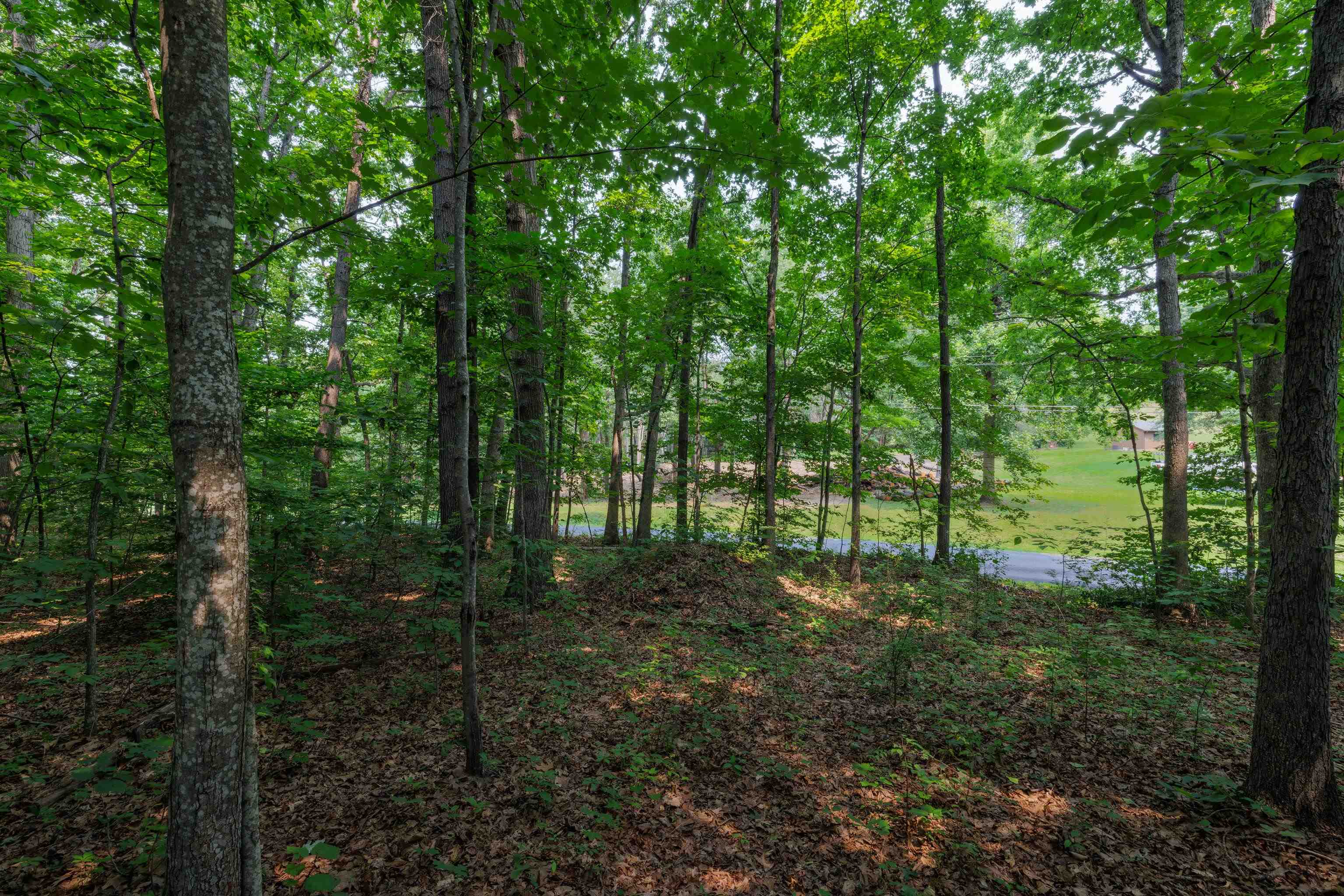 TBD BROADHEAD SCHOOL RD