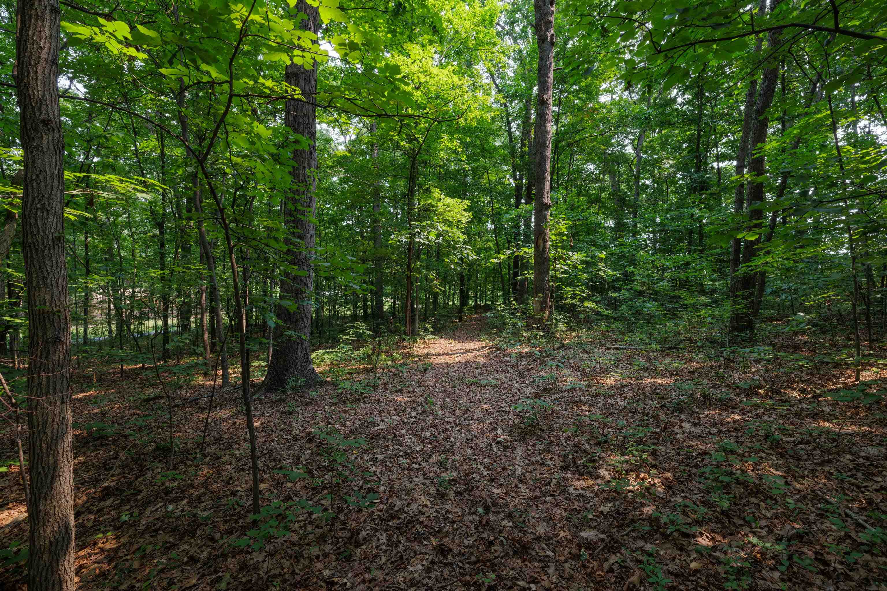 TBD BROADHEAD SCHOOL RD