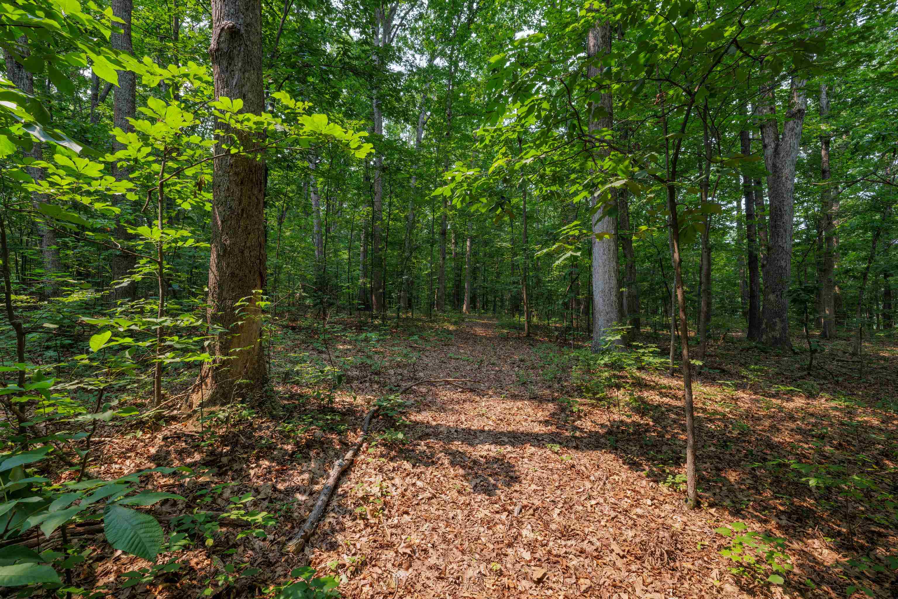 TBD BROADHEAD SCHOOL RD