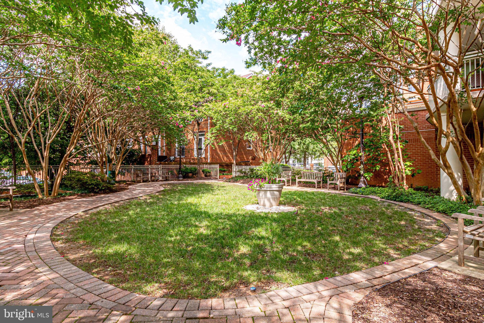 1000 N Randolph St #105