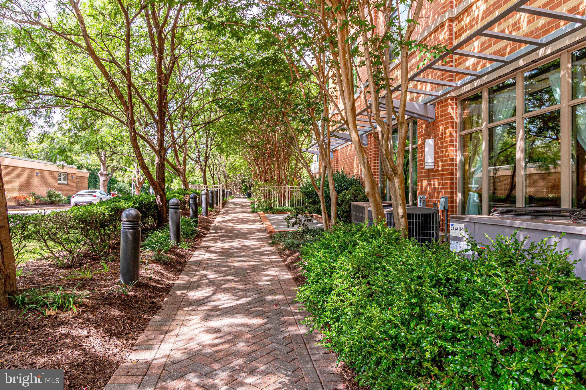 1000 N Randolph St #105