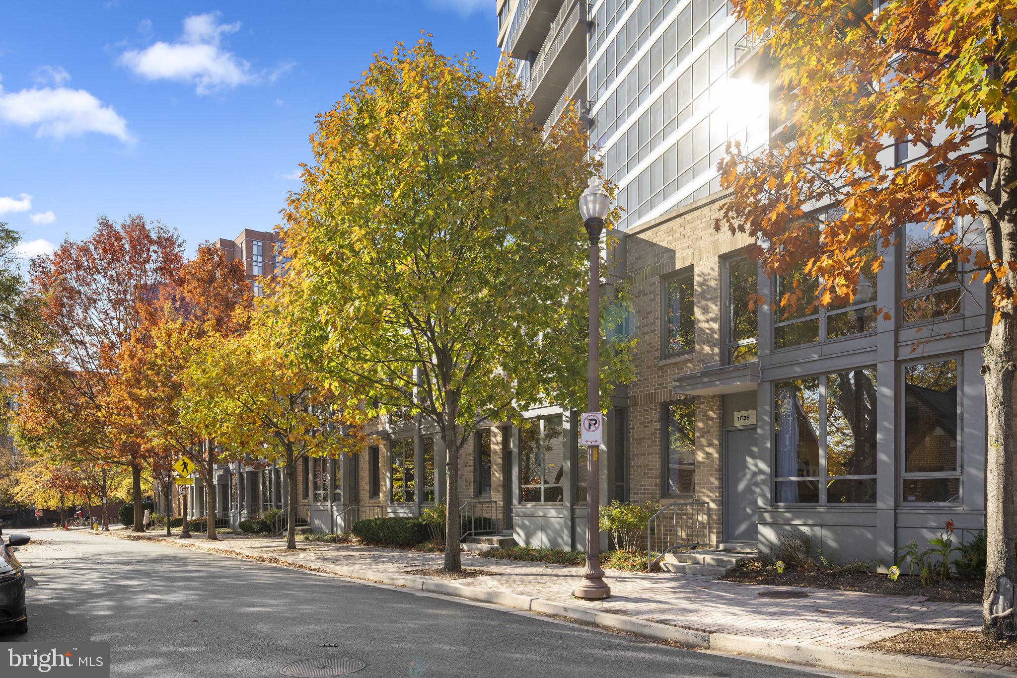 1536 N SCOTT STREET TH-10