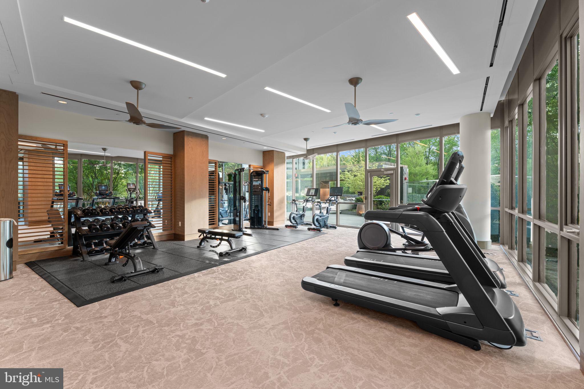 7887 JONES BRANCH DRIVE 1503