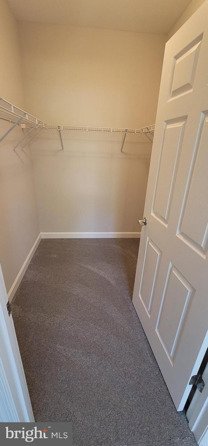 22611 Blue Elder Terrace #103