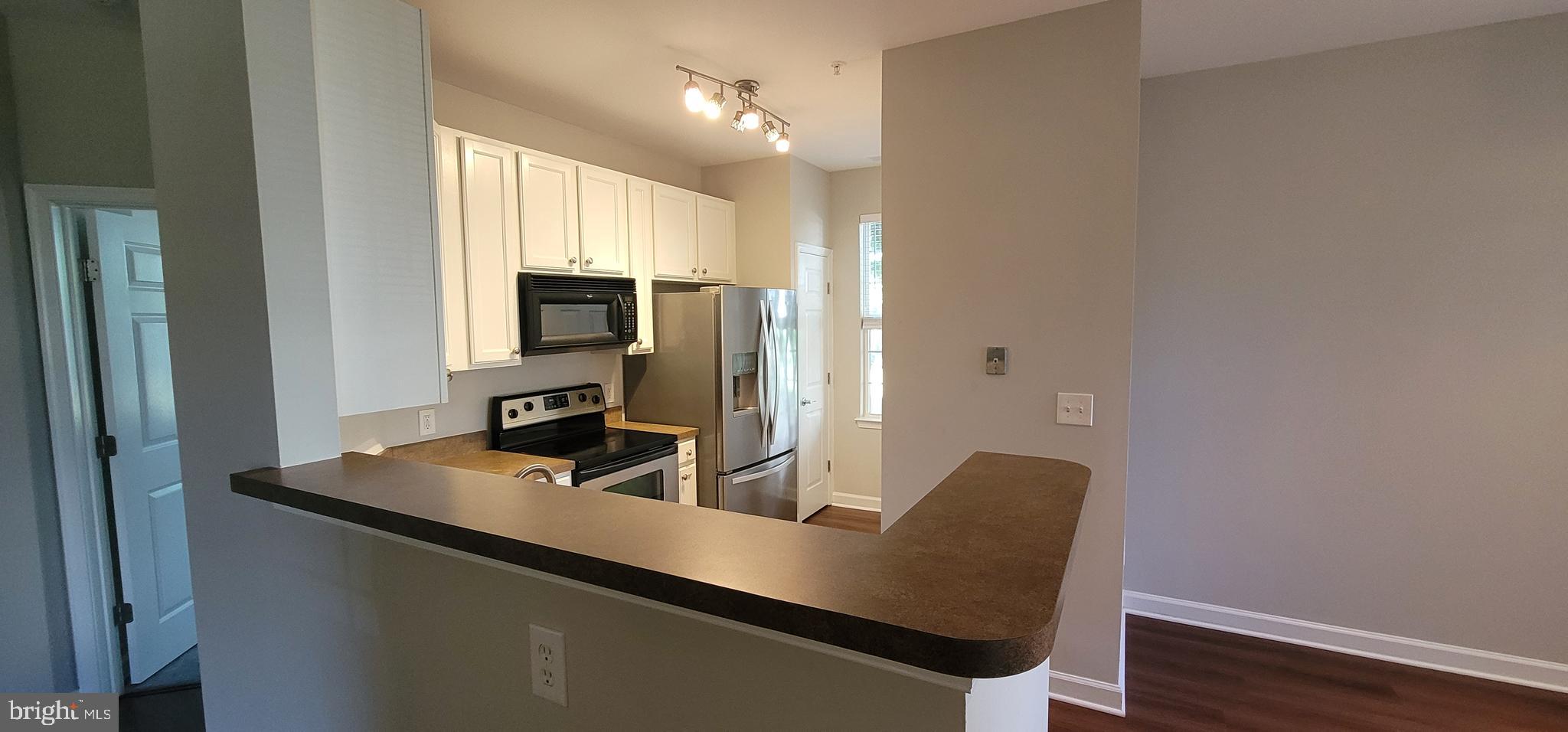 22611 Blue Elder Terrace #103