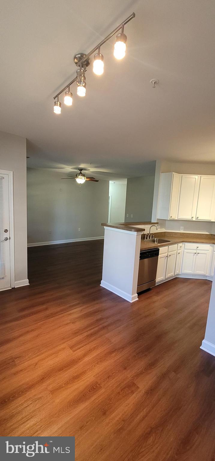 22611 Blue Elder Terrace #103