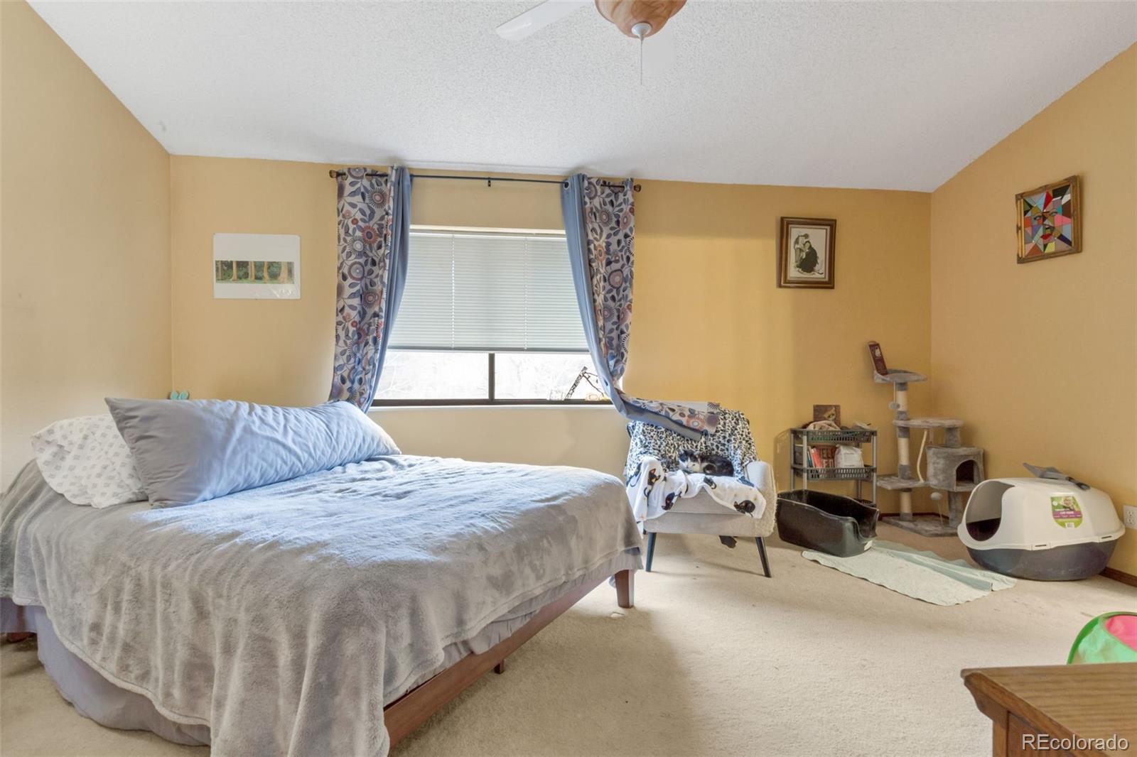 424 Wright Street Unit: 106