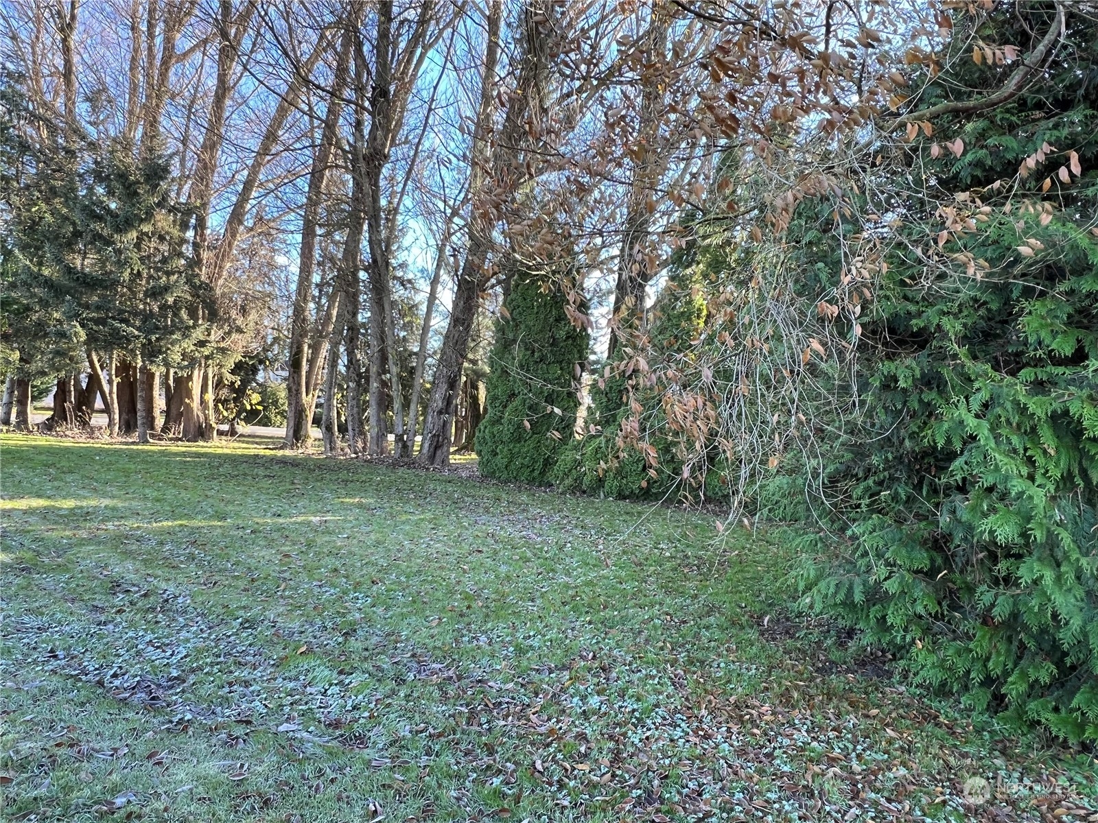 8173 Van Buren Road
