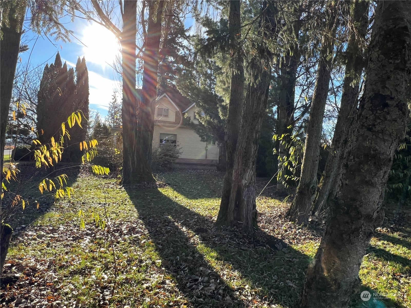 8173 Van Buren Road