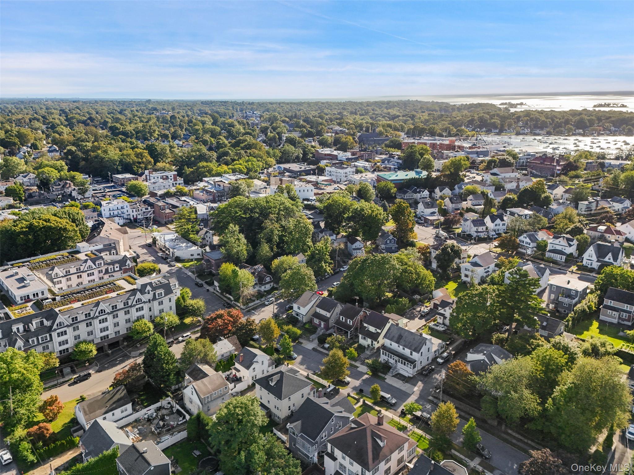 Aerial view of Mamaroneck homes and tree-lined streets, with the harbor and water beyond.
