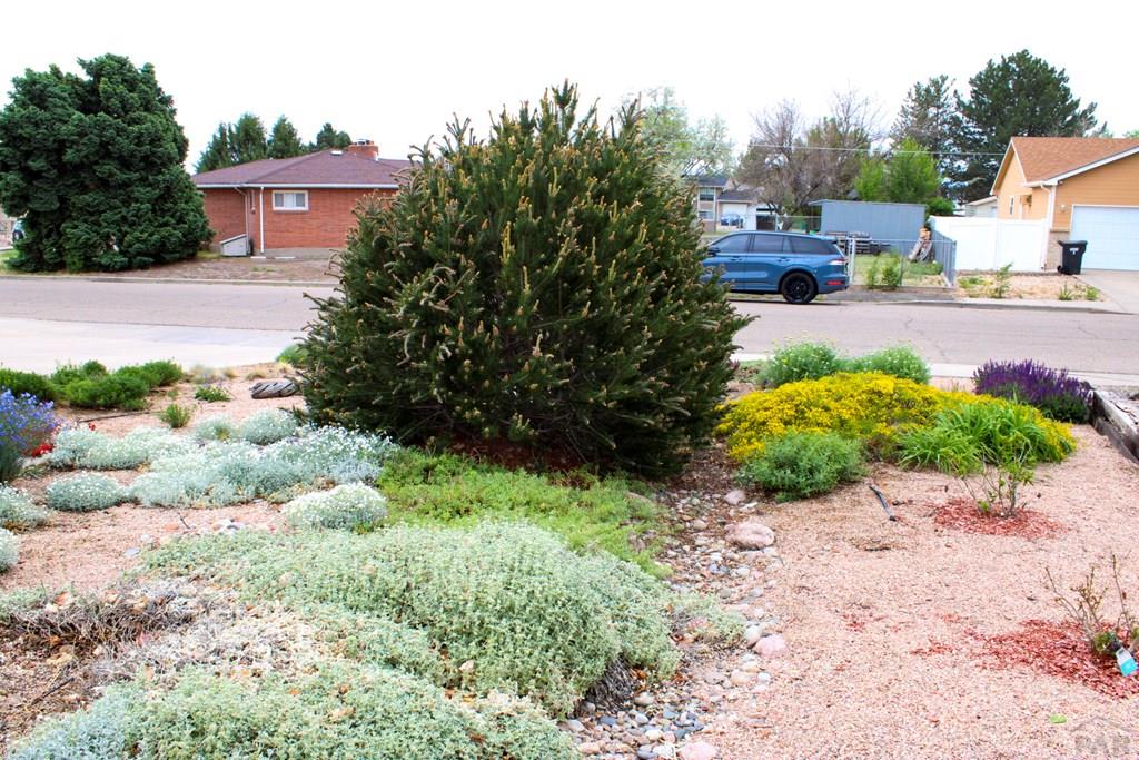 75 Wheatridge Dr