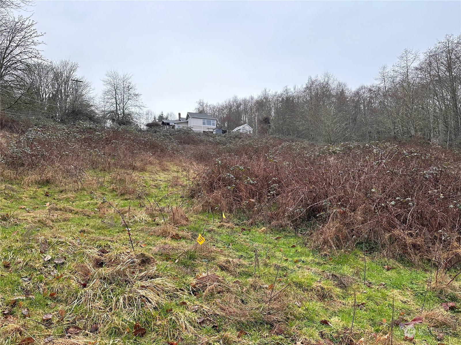 99999 Beach Drive E Unit: Lot1D