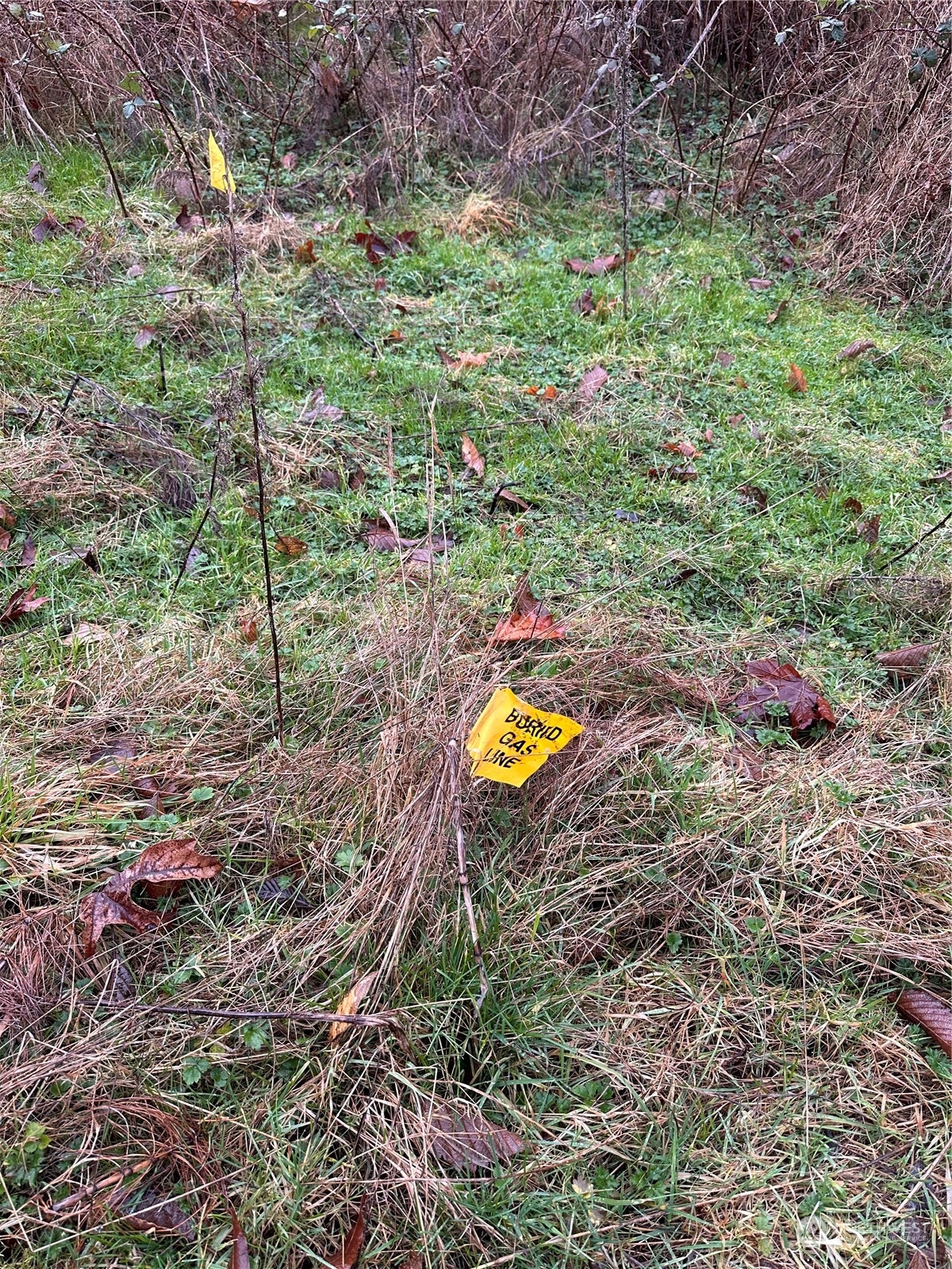 99999 Beach Drive E Unit: Lot1D