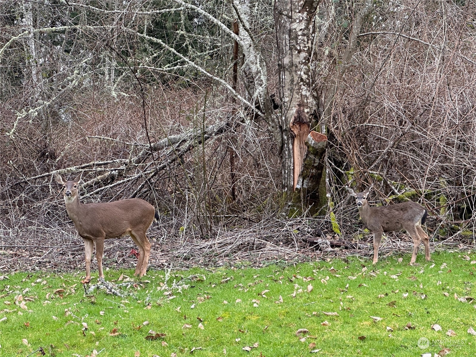 99999 Beach Drive E Unit: Lot1D