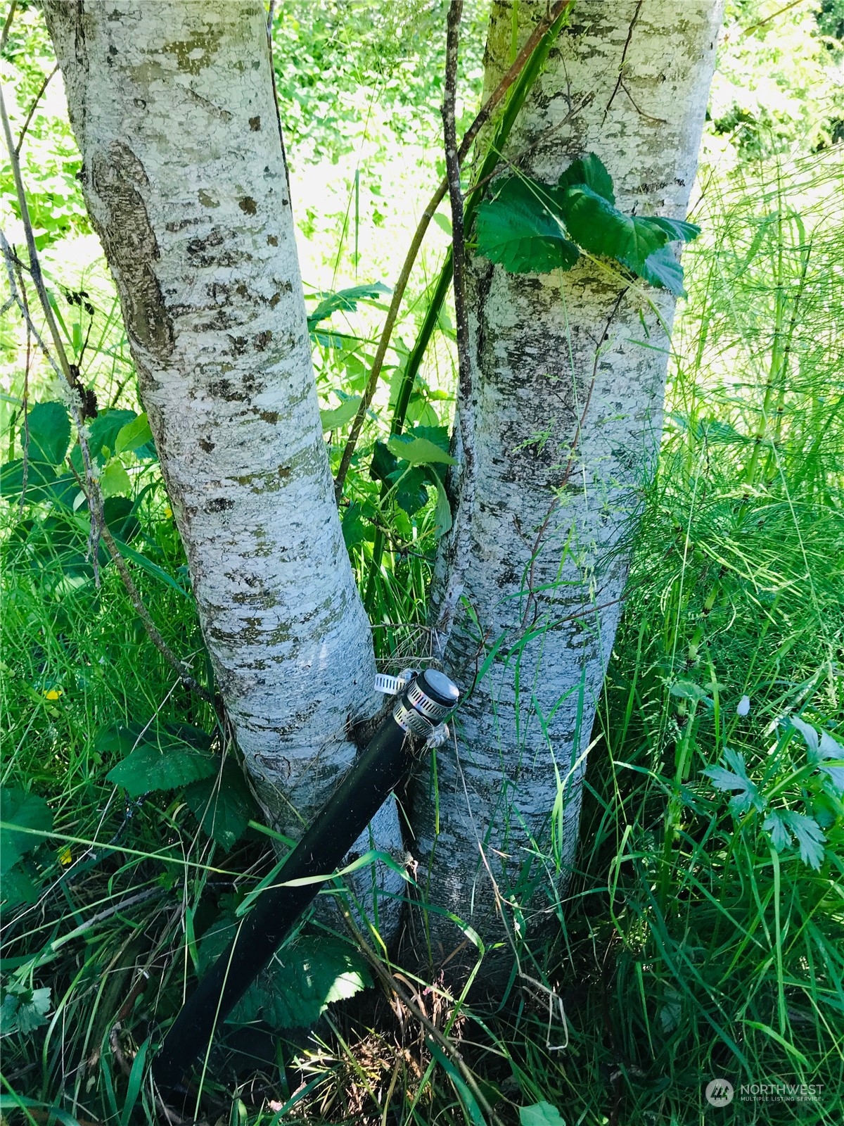 99999 Beach Drive E Unit: Lot1D