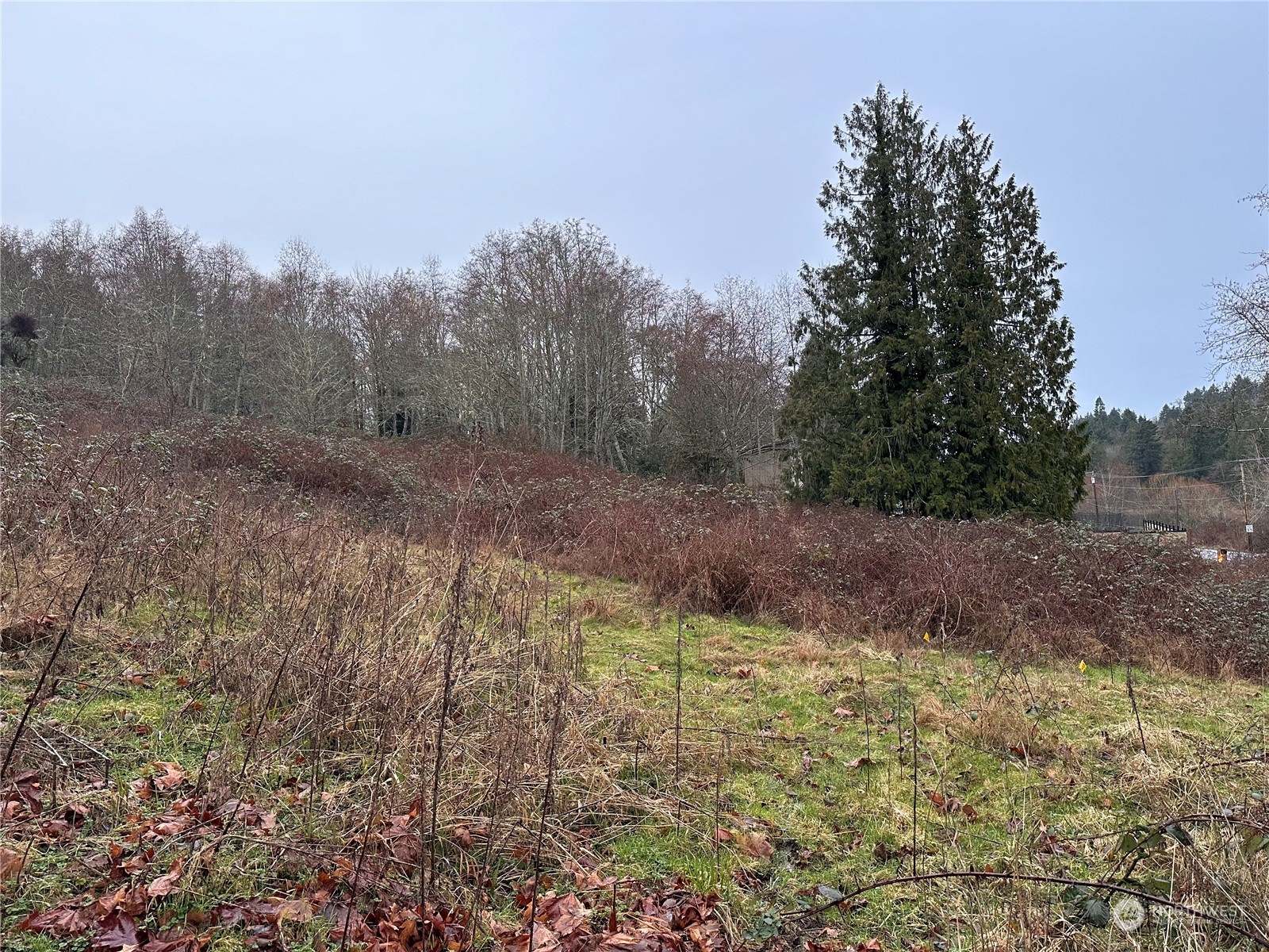 99999 Beach Drive E Unit: Lot1D