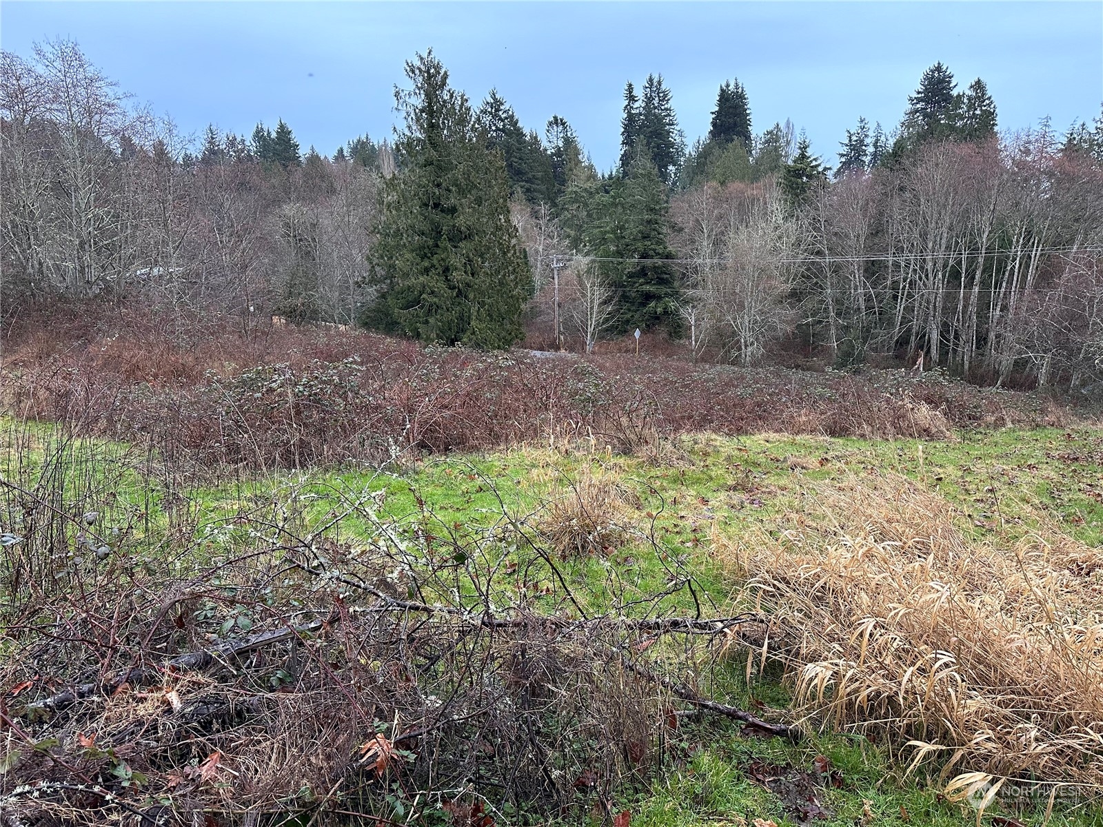 99999 Beach Drive E Unit: Lot1D