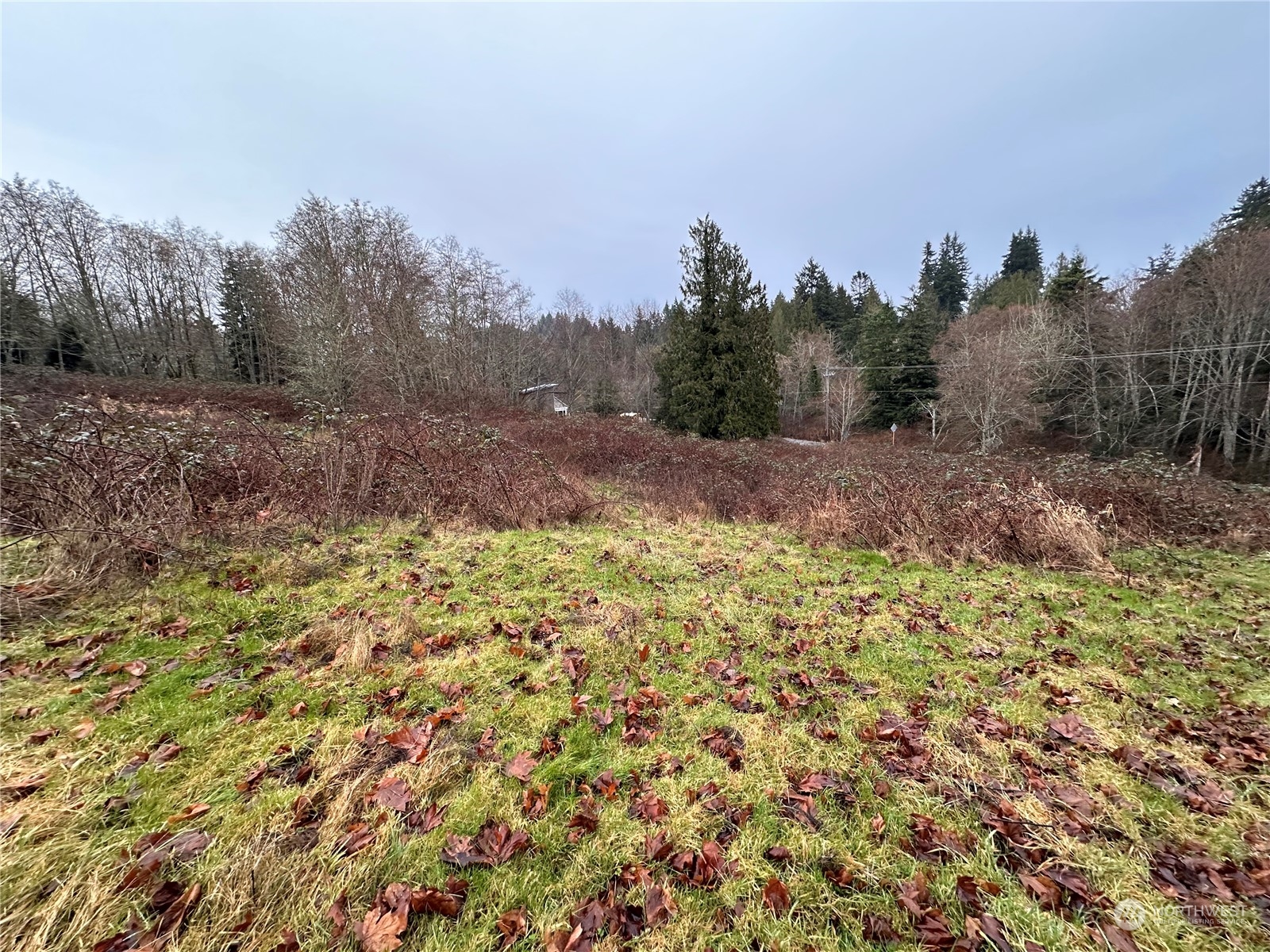 99999 Beach Drive E Unit: Lot1D