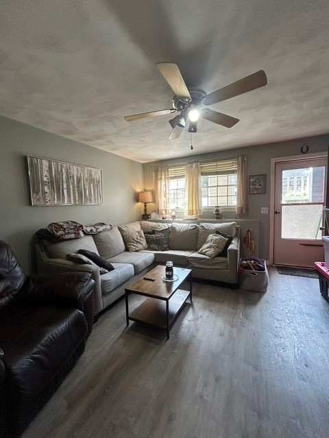 11 Babcock Street 3