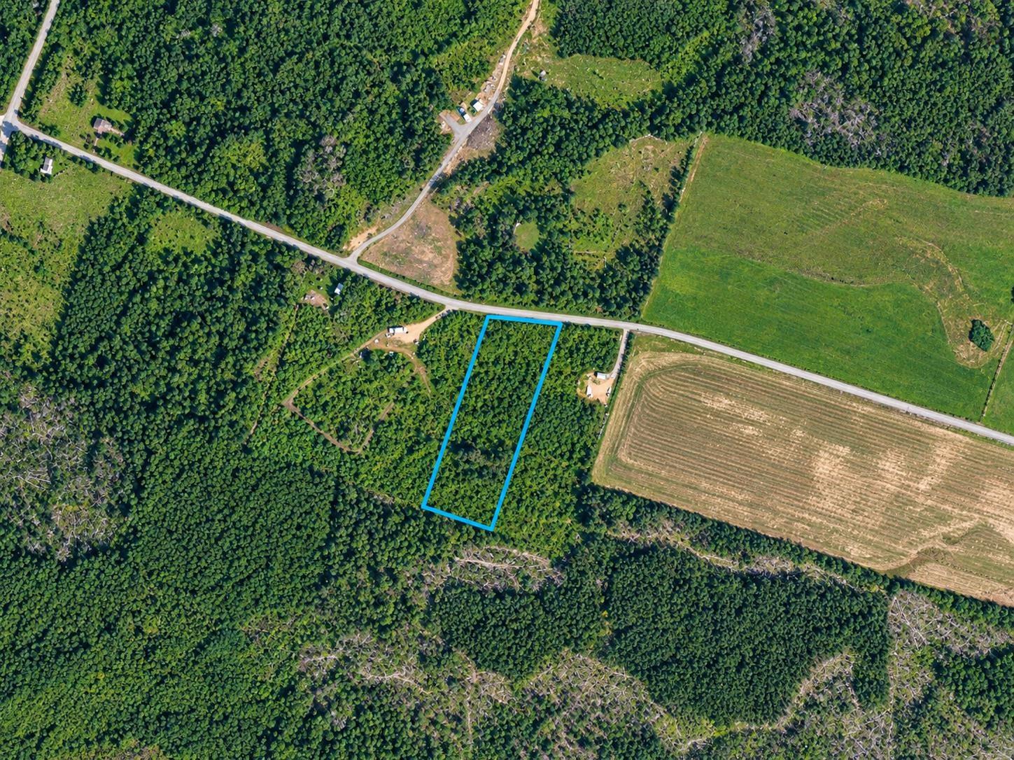 Wooded rural lot outlined in blue beside a road and cultivated fields.