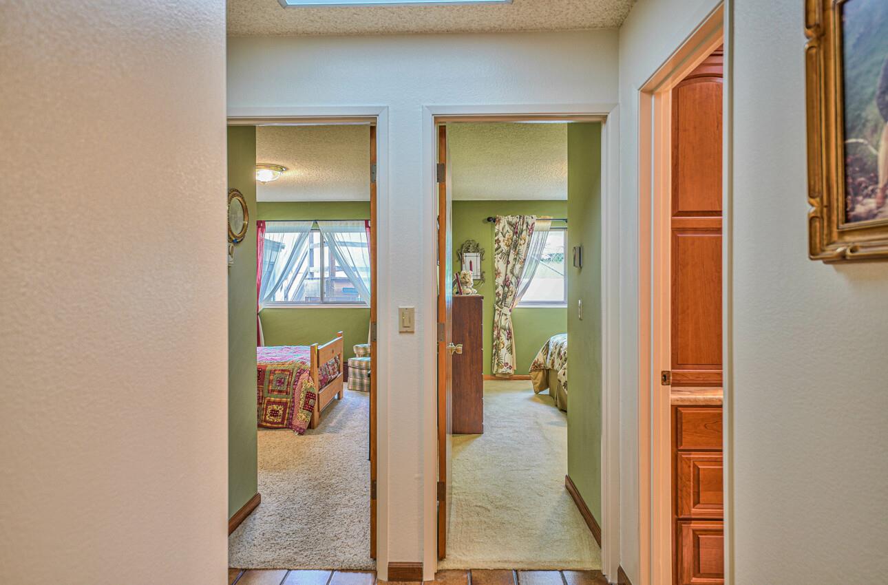 24325 Barn Owl CT