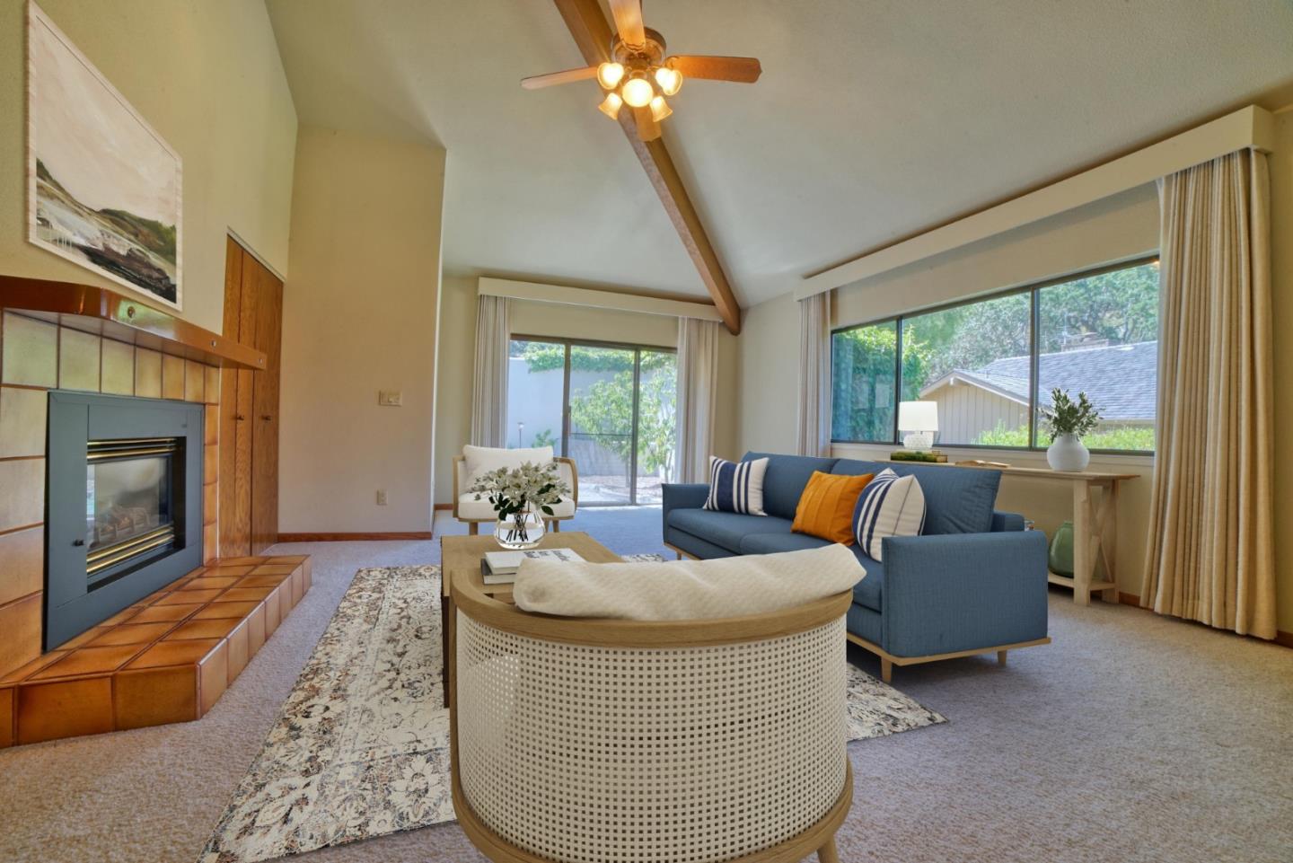 24325 Barn Owl CT