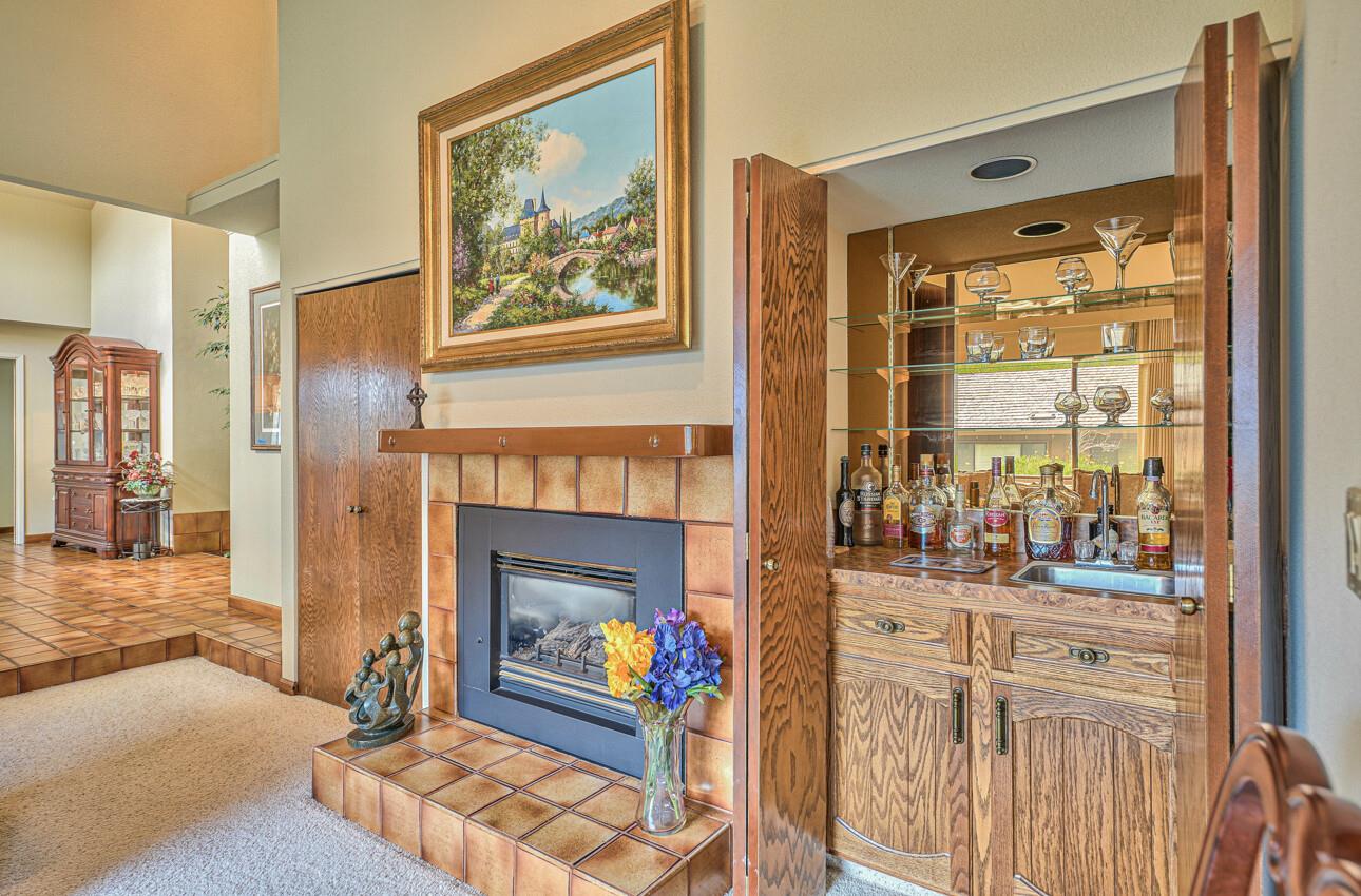 24325 Barn Owl CT