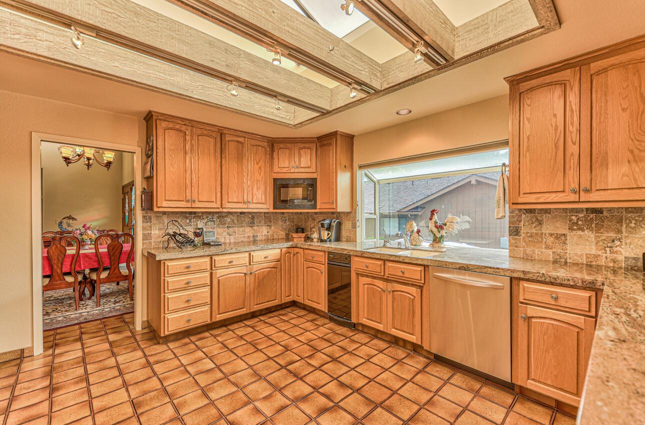 24325 Barn Owl CT