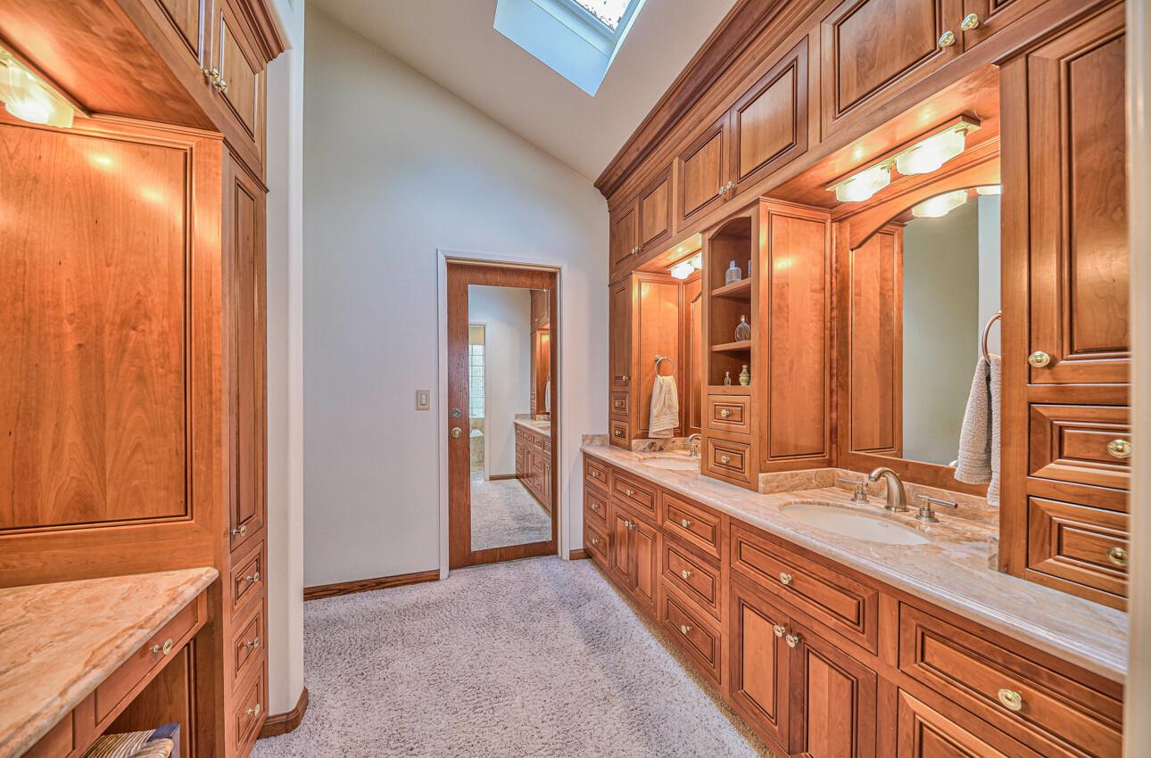 24325 Barn Owl CT