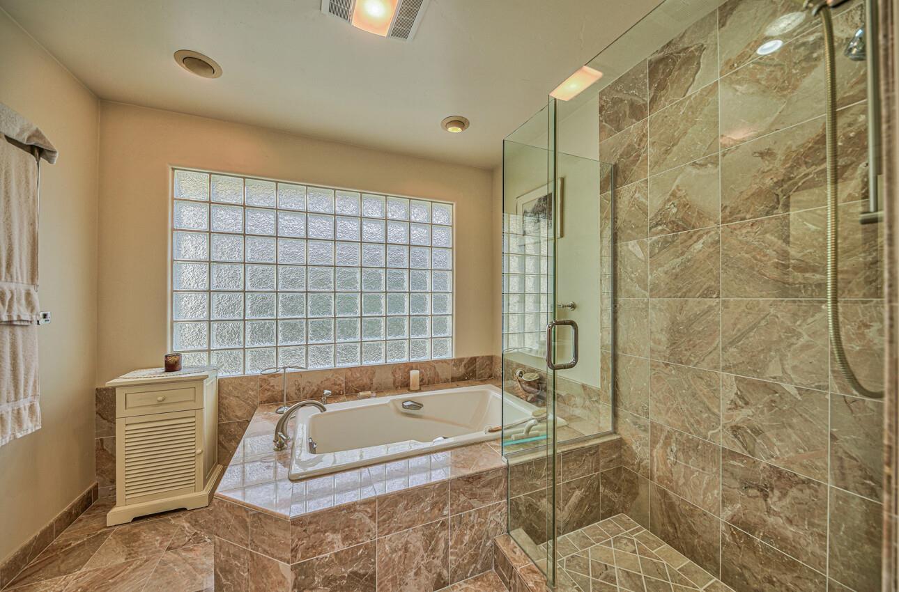 24325 Barn Owl CT