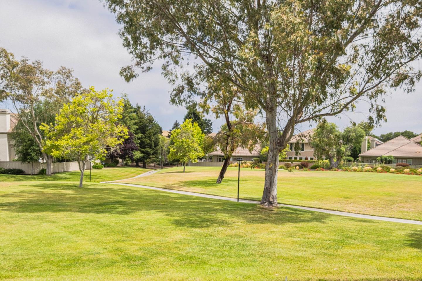 24260 Pheasant Court