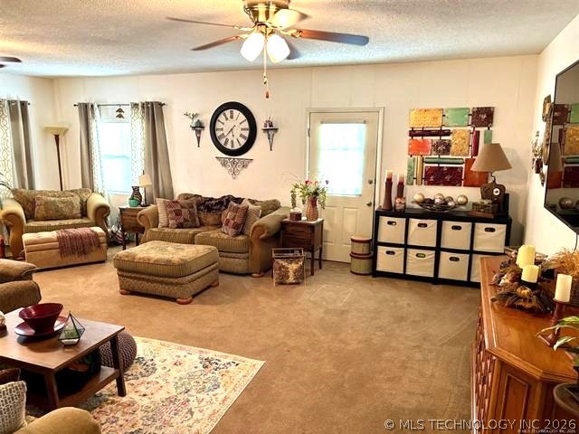 353 Council Tree Drive