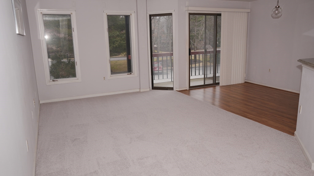 770 Salisbury St # 317