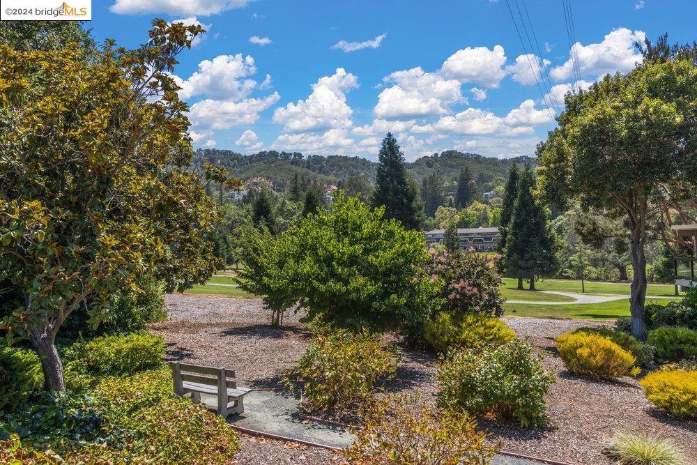 3446 Rossmoor Pkwy # 2