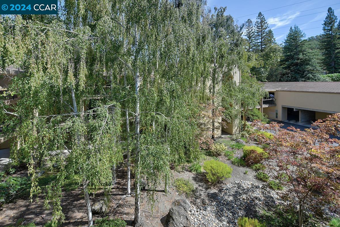 1621 Ptarmigan Dr # 8C