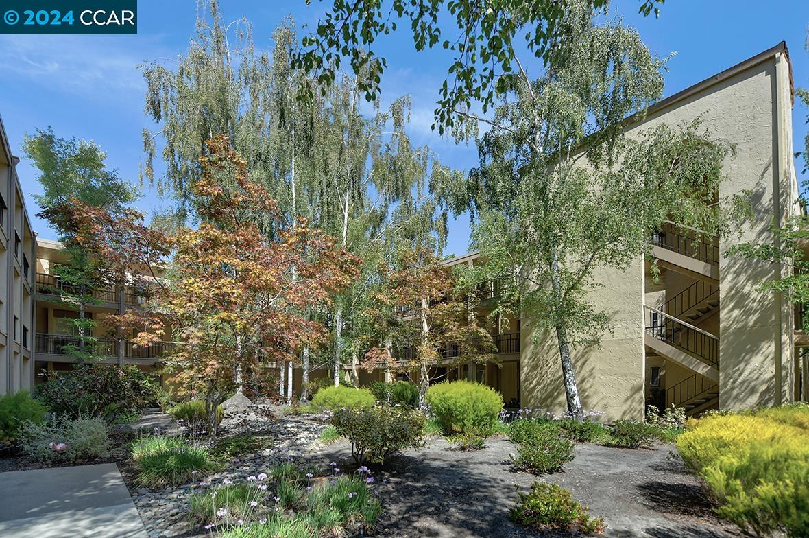 1621 Ptarmigan Dr # 8C