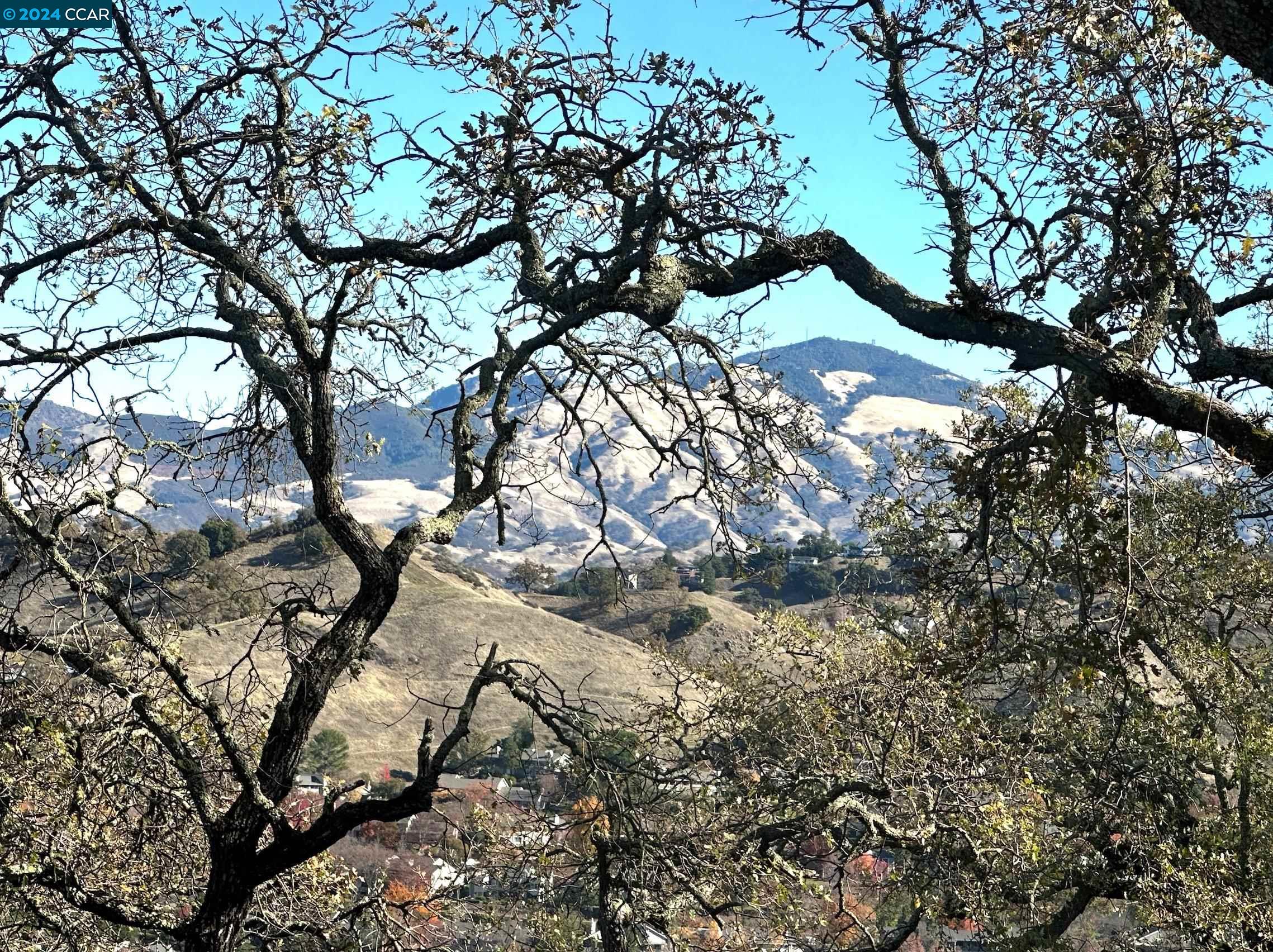 1752 Stanley Dollar Dr # 2A