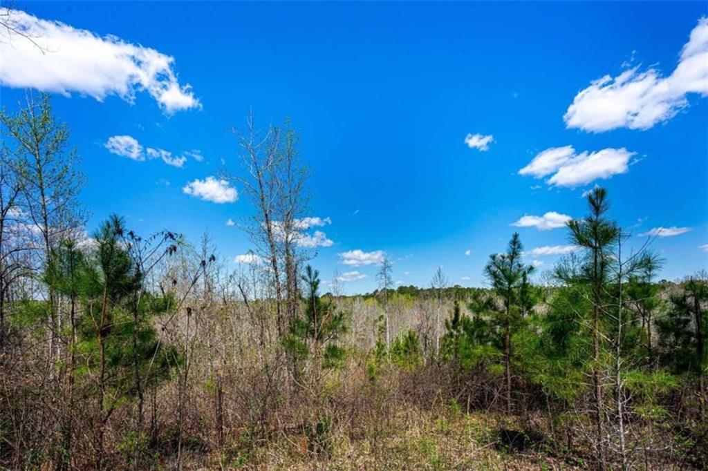 0 Jeff Davis Road