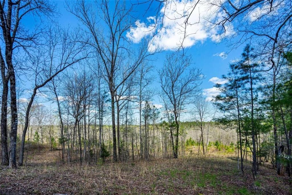 0 Jeff Davis Road