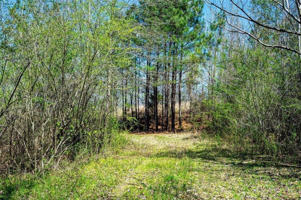 0 Jeff Davis Road