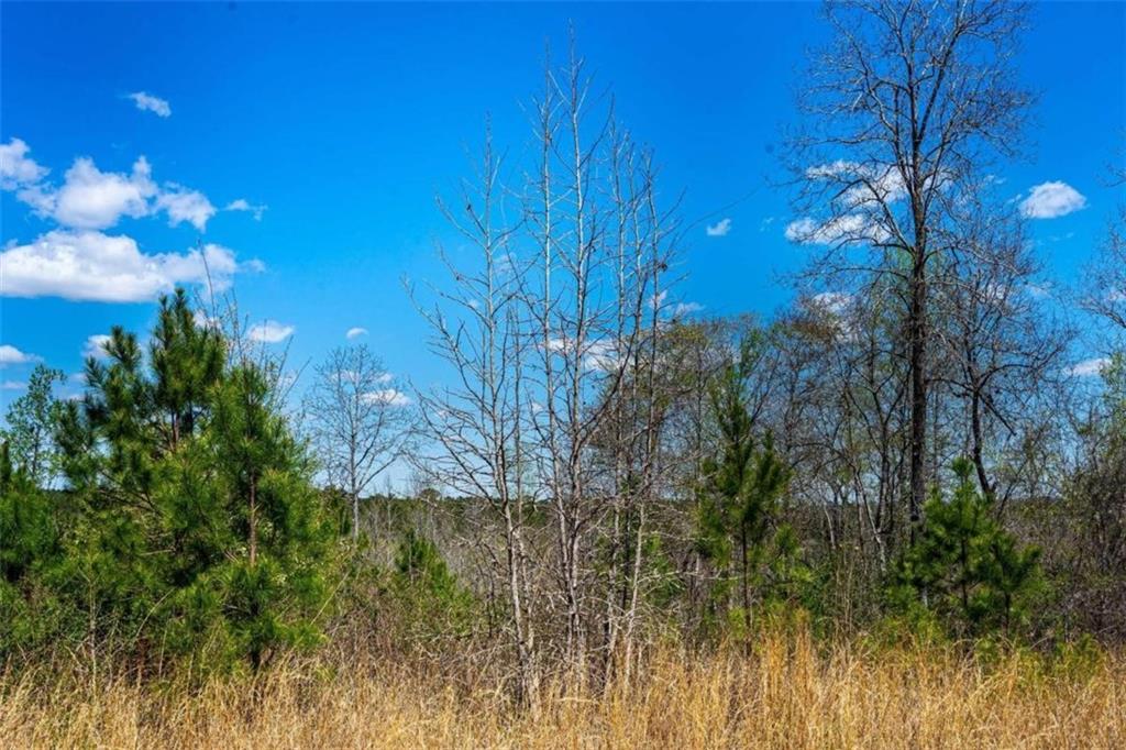 0 Jeff Davis Road